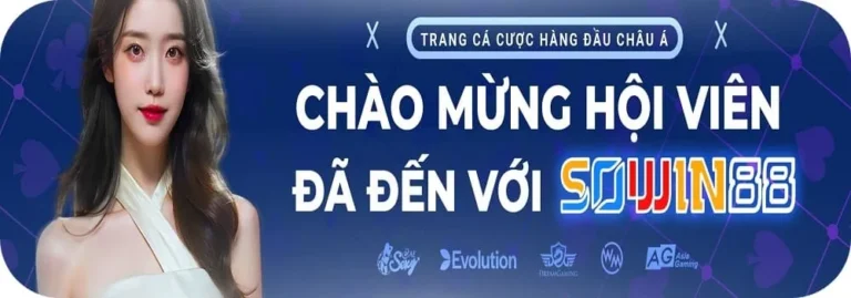 sowin2 đăng nhập